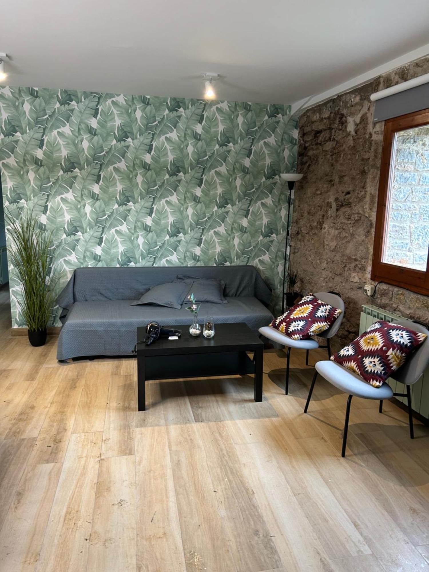 Cal Xesc Apartment Castellar De N'Hug Bagian luar foto